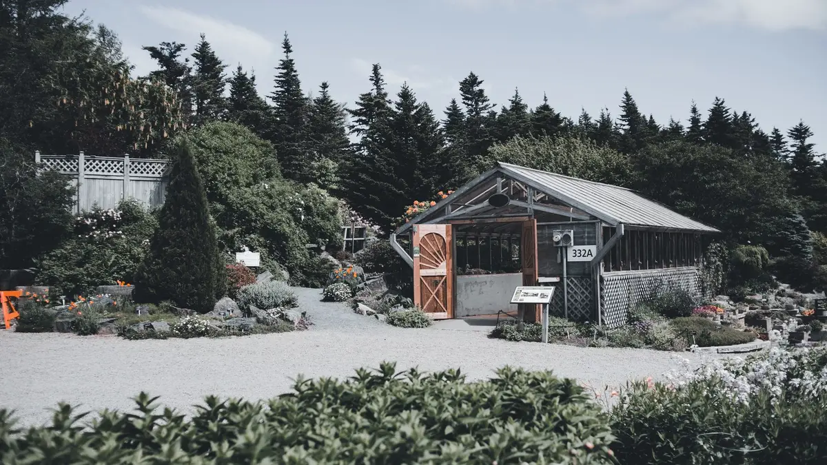 Abri barbecue : ce qu'il faut regarder avant d'acheter
