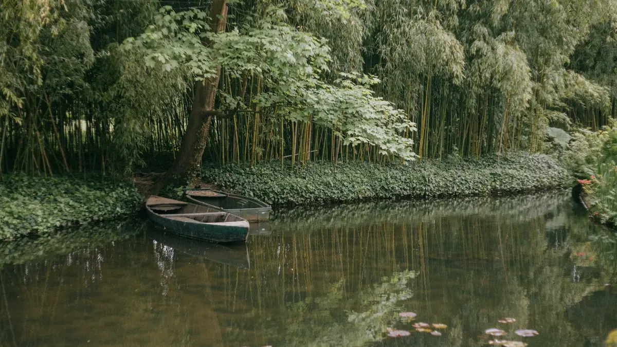 Bassin de jardin : la profondeur qui décide de tout (et l'autorisation à vérifier)