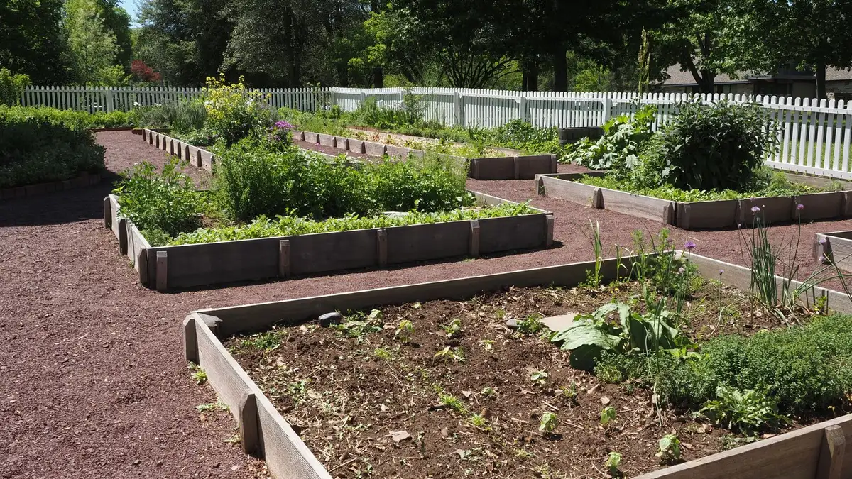 Carré potager 120x120 brico dépôt : explications et repères