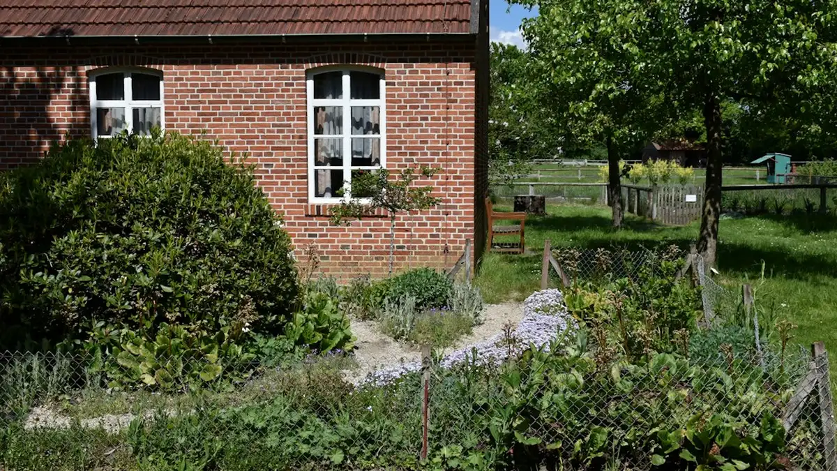Clôture pour potager : comprendre et agir