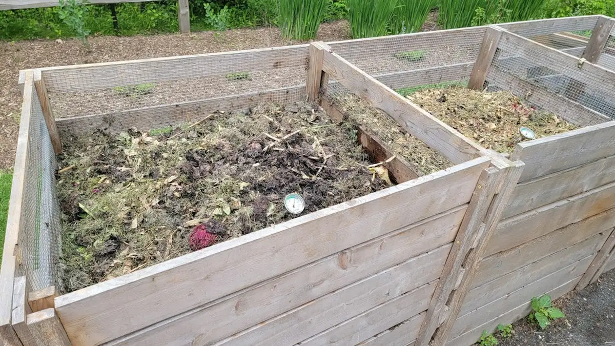 Potager composteur : explications et repères