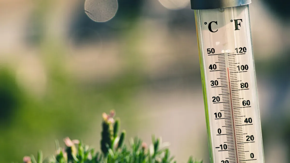 Les conditions qui décident : climat, région, gel
