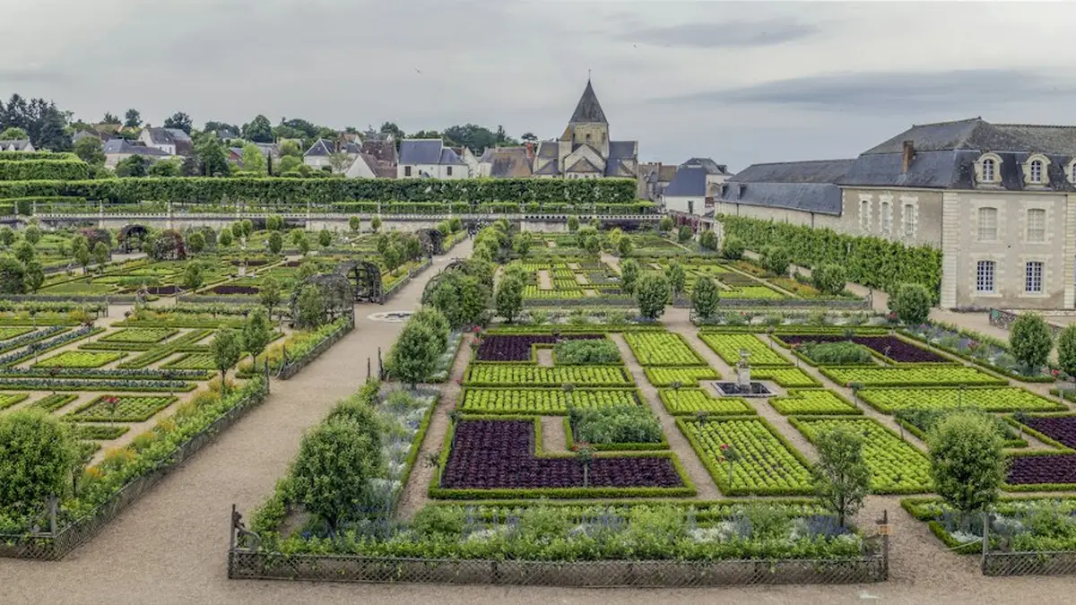 Que peut-on planter dans le jardin en ce moment : mode d’emploi