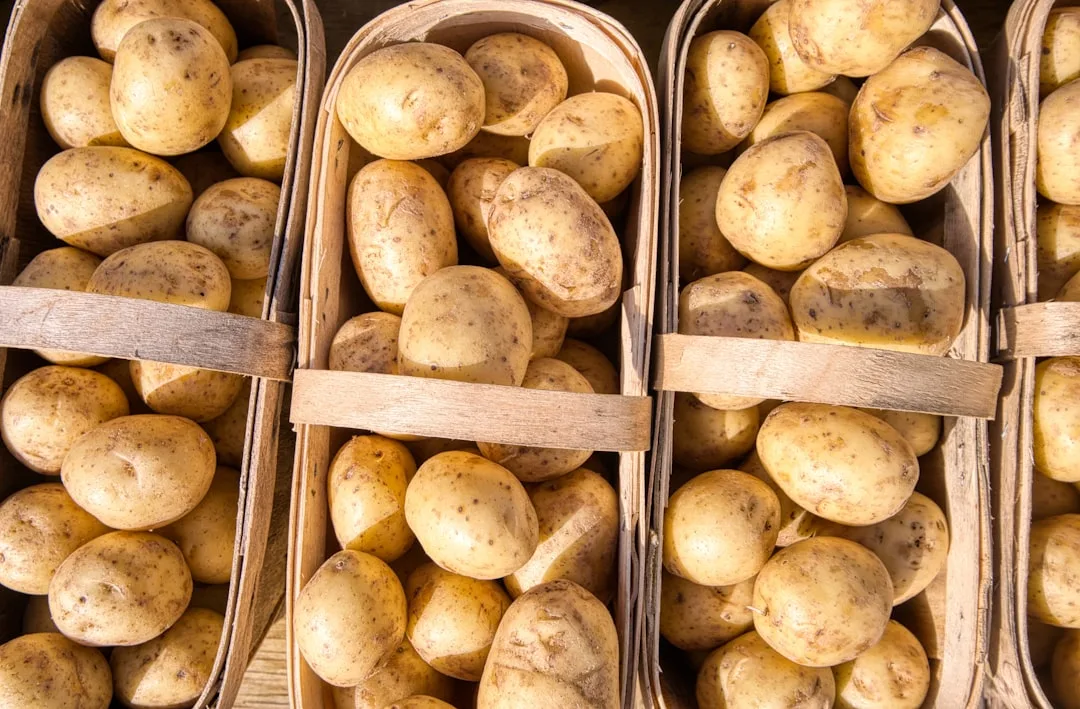 Quelle pomme de terre choisir ? Le sélecteur par usage